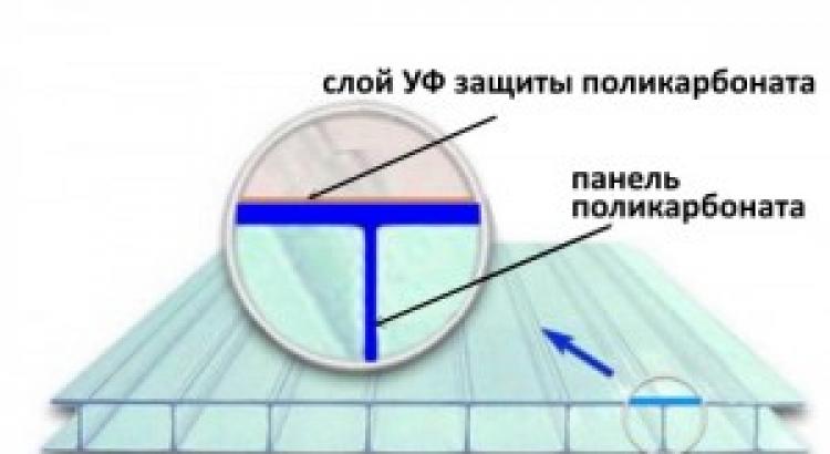 Какие ошибки мы допускаем, когда пытаемся защититься от солнца, и как их исправить